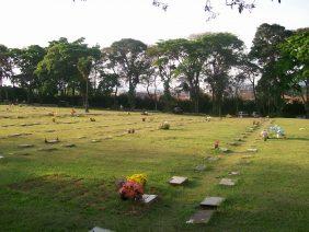 Floricultura Cemitério Necrópole Campo Santo – Guarulhos