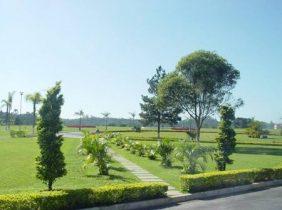 Floricultura Cemitério Parque dos Girassóis Parelheiros