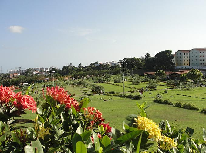 Floricultura Cemitério Parque Bosque da Paz - Salvador