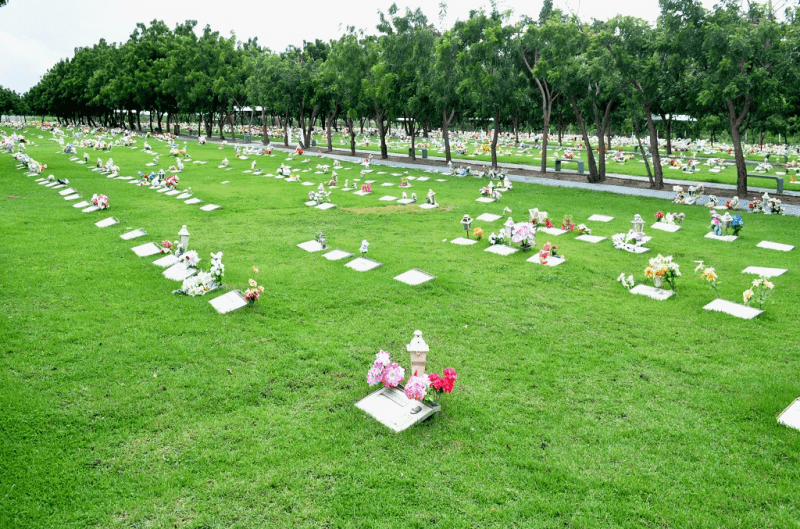 Floricultura Cemitério Parque da Saudade Caucaia - CE