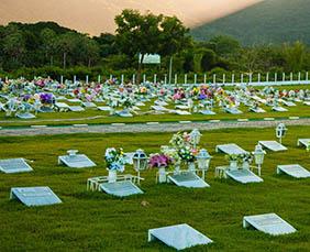 Floricultura Cemitério Municipal Água Verde – Curitiba