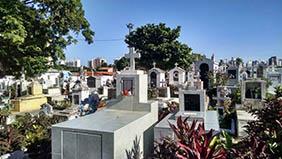 Floricultura Cemitério Municipal de Tuiuti – SP